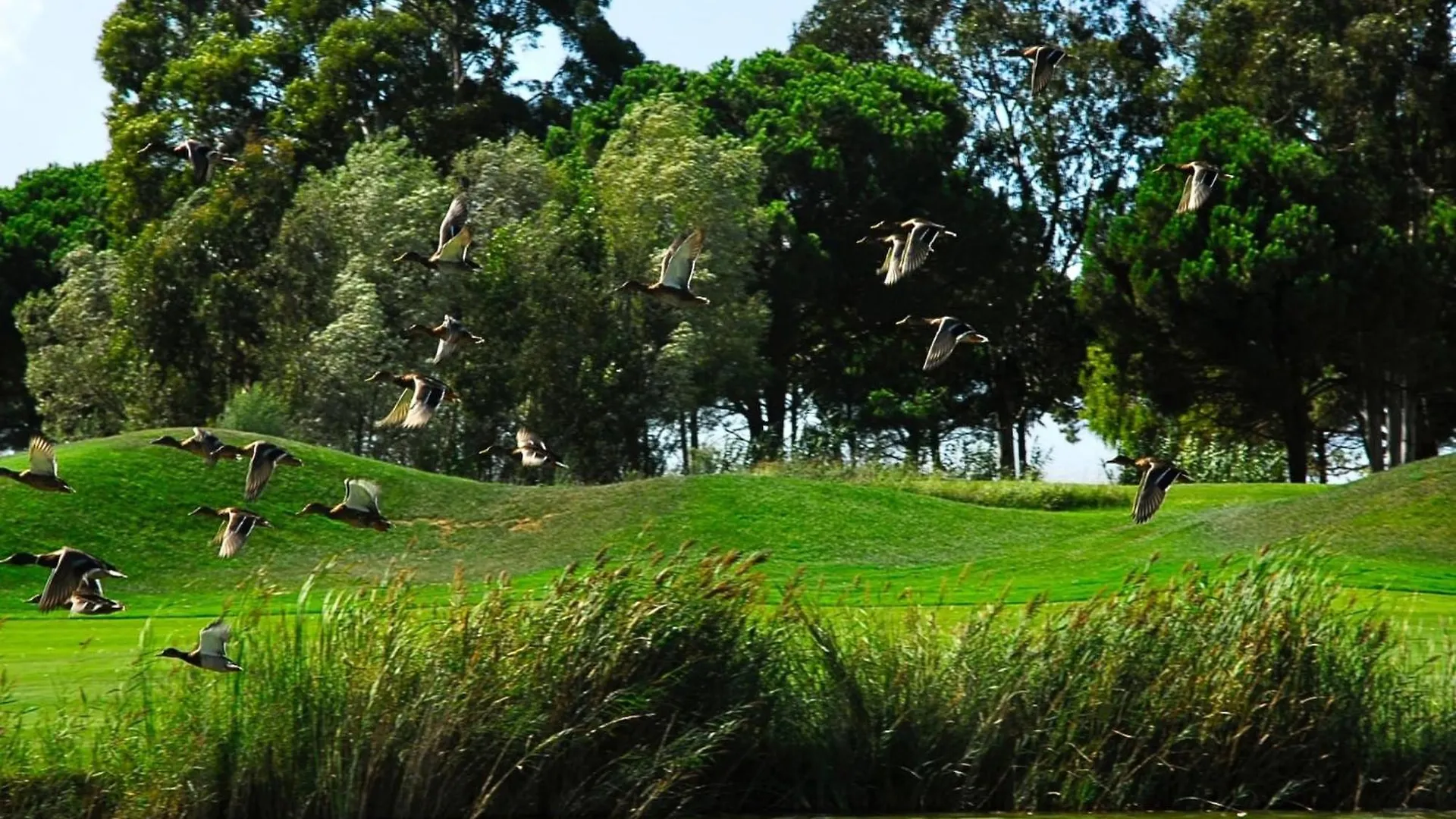 شقة Residencial Golf 30 2-1 Gualta